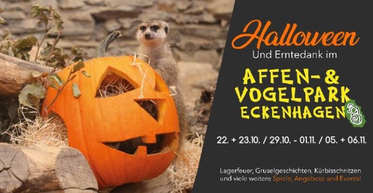 Affen- & Vogelpark Eckenhagen Halloween