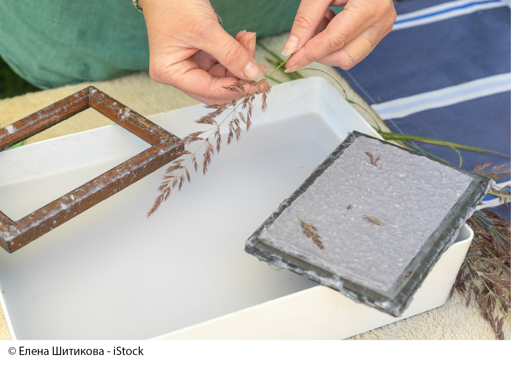 Papierschöpfen mit Blüten und Gewürzen – aus Alt mach Neu! 3 Katholische Familienbildungsstätte Bergisch Gladbach