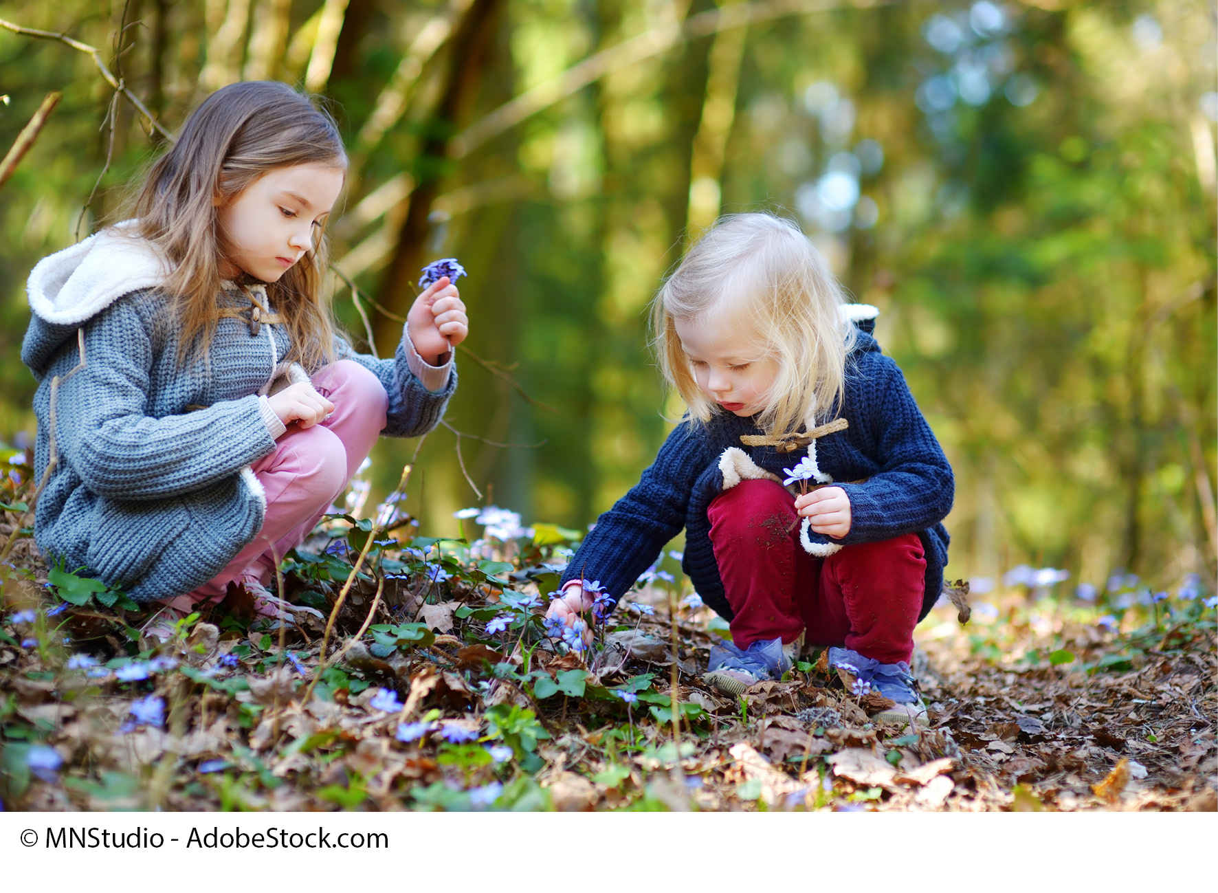 Wir entdecken gemeinsam den Wald 3 Kath. Familienbildungsstätte "Haus der Familie"