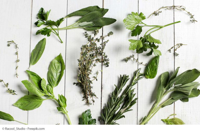 Kräuter Alternative Heilmethode DIY Basteln Öle Kochen Kochkurs