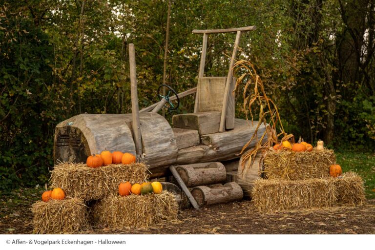 Veranstaltungstipp: Halloween entgruselt im Affen- und Vogelpark Eckenhagen 16 Affen-Vogelpark Eckenhagen